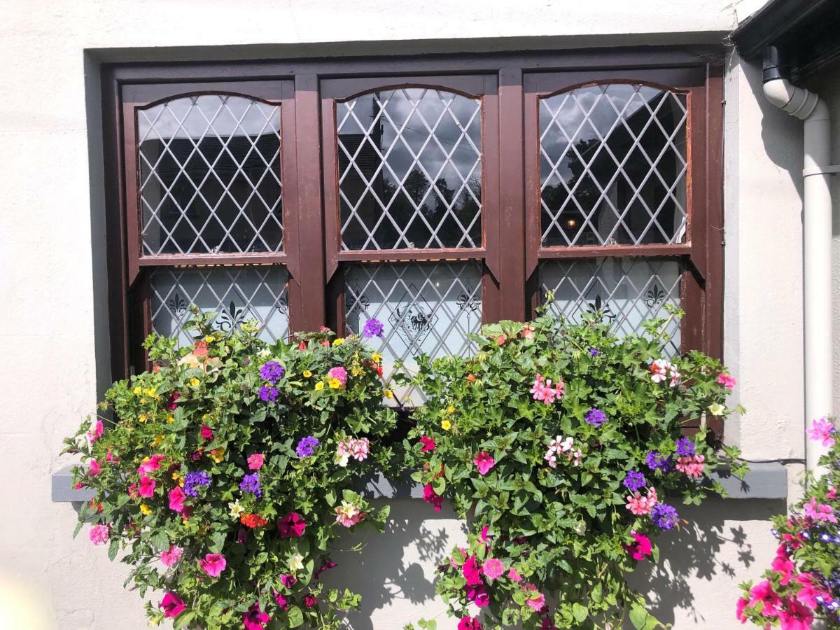 Chester Beatty Inn Ashford Luaran gambar